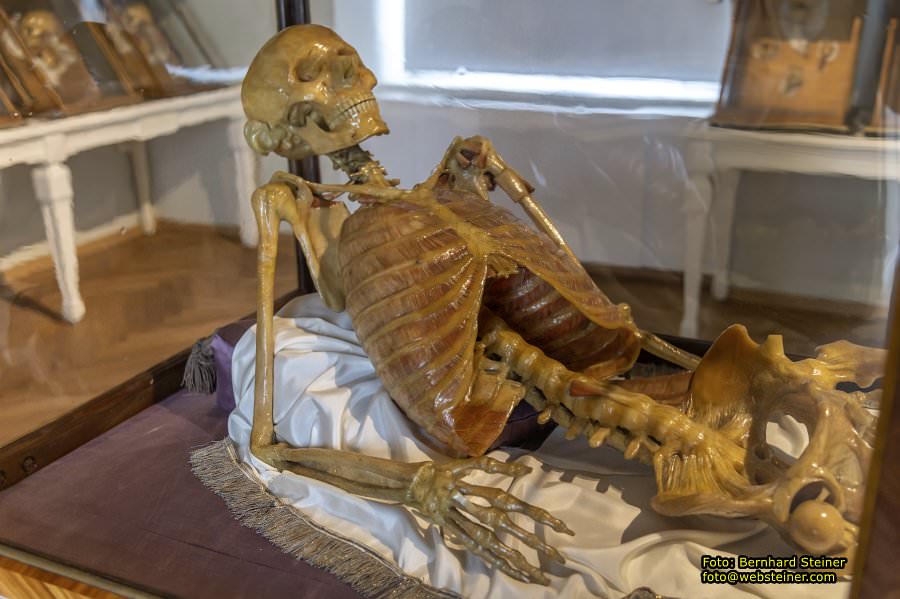 Josephinum in Wien, April 2023