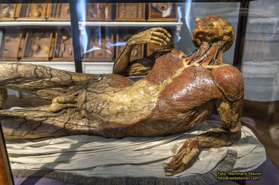 Josephinum in Wien, April 2023