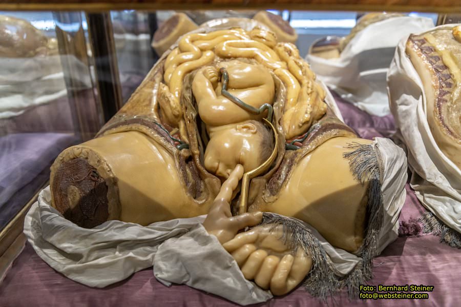 Josephinum in Wien, April 2023