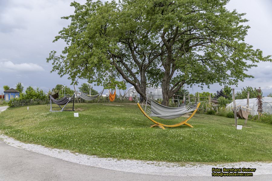 Kittenberger Erlebnisgärten, Juni 2023