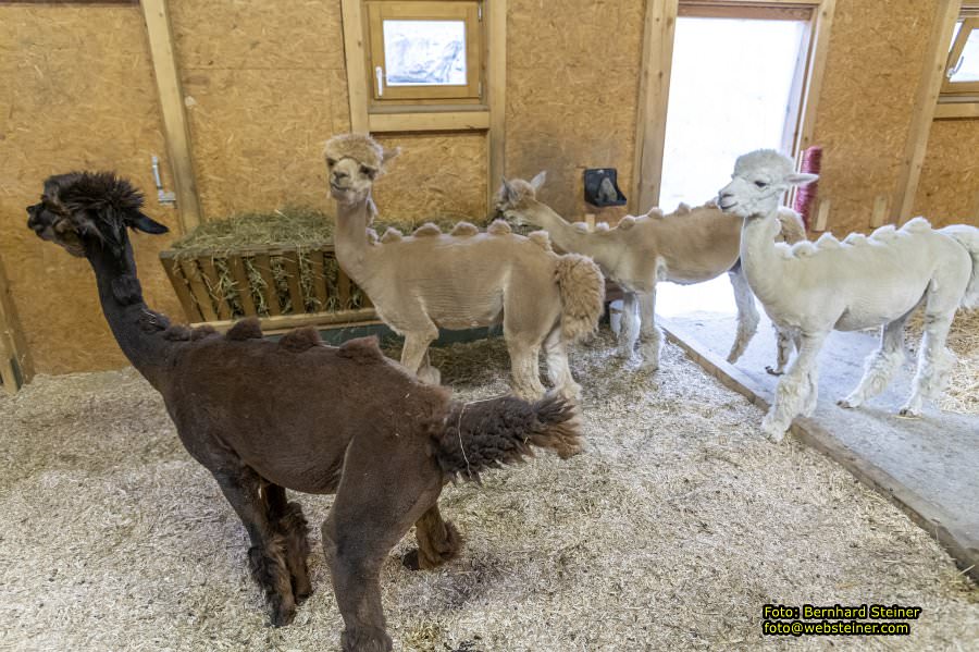 Kittenberger Erlebnisgärten, Juni 2023