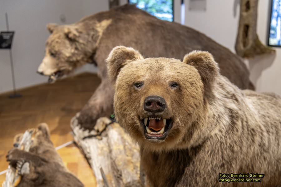 Klagenfurt am W�rthersee, Mai 2024