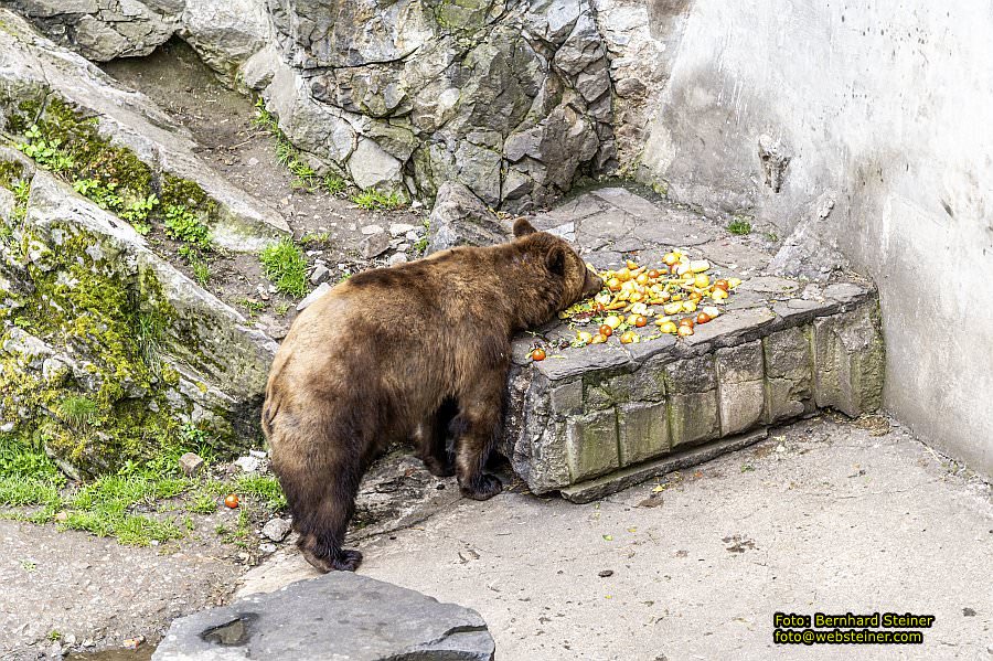 Krumau an der Moldau - Ceský Krumlov, Mai 2022