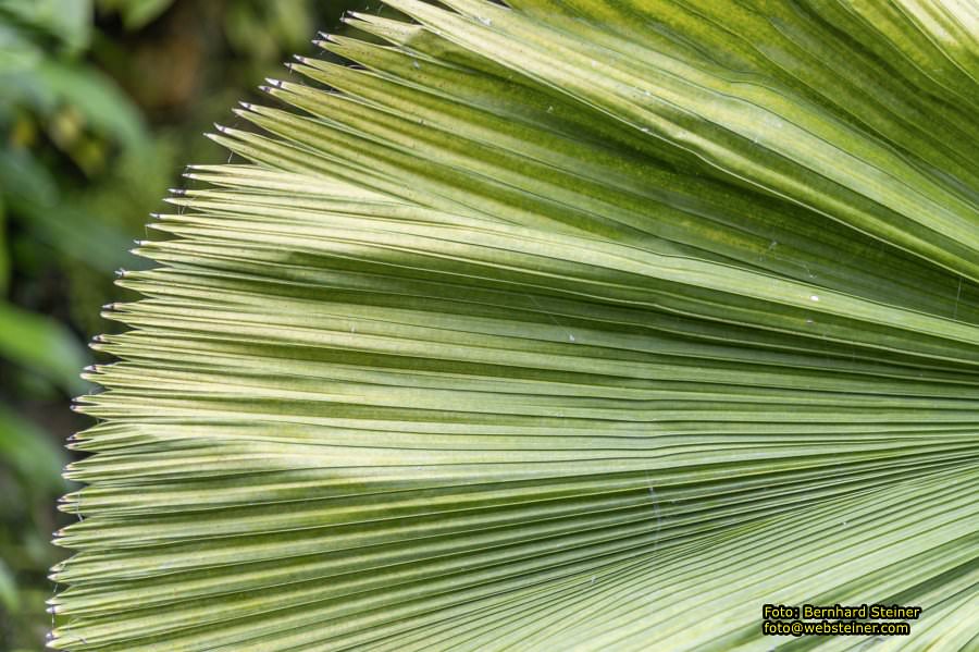 Gruson-Gew�chsh�user Magdeburg, September 2024