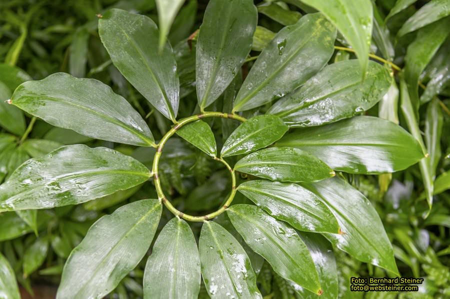 Gruson-Gew�chsh�user Magdeburg, September 2024