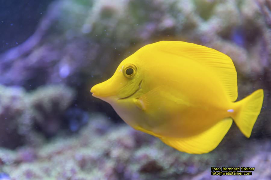 Gruson-Gew�chsh�user Magdeburg, September 2024