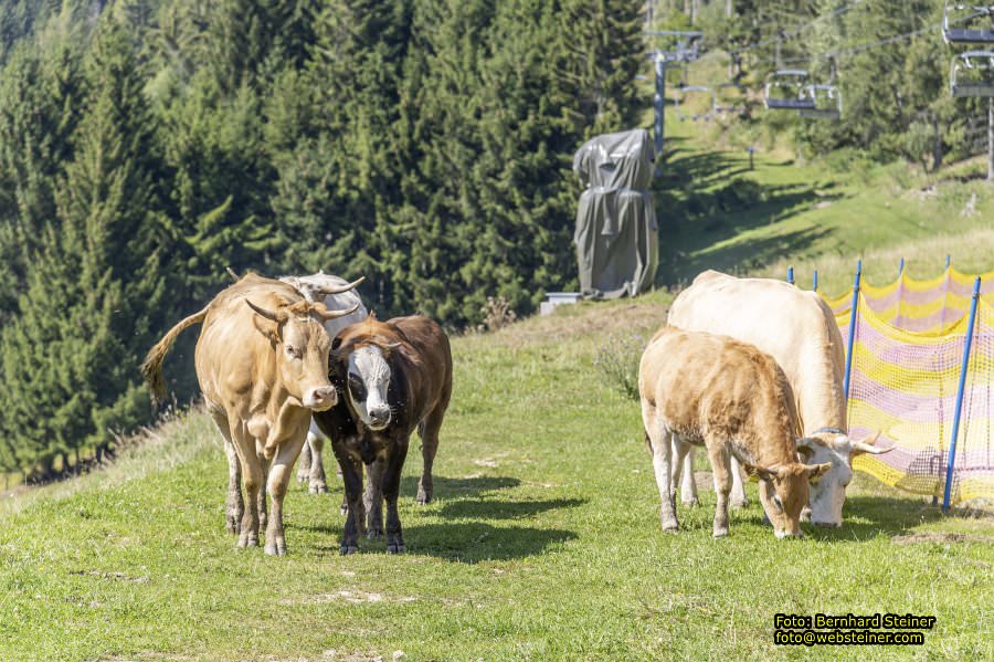 Erlebnisalm Sessellift Sonnenbahn, M�nichkirchen, September 2023