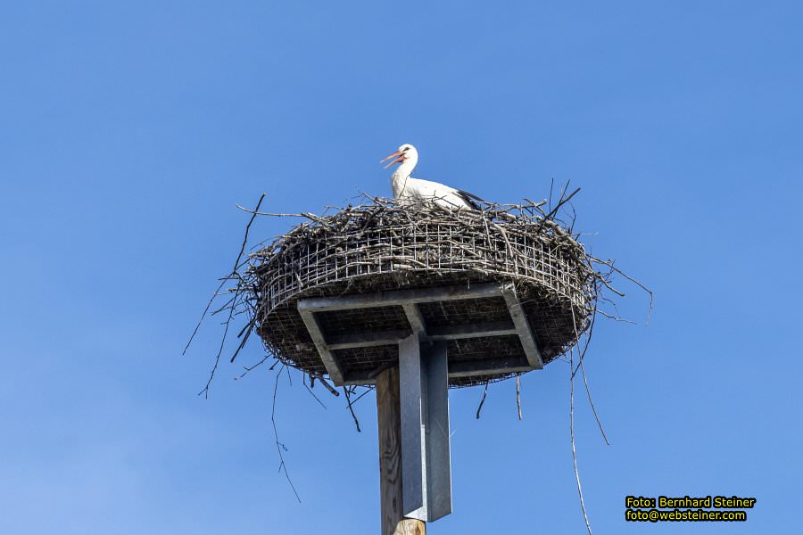 Pfarrkirche Mooskirchen hl. Veit, April 2024