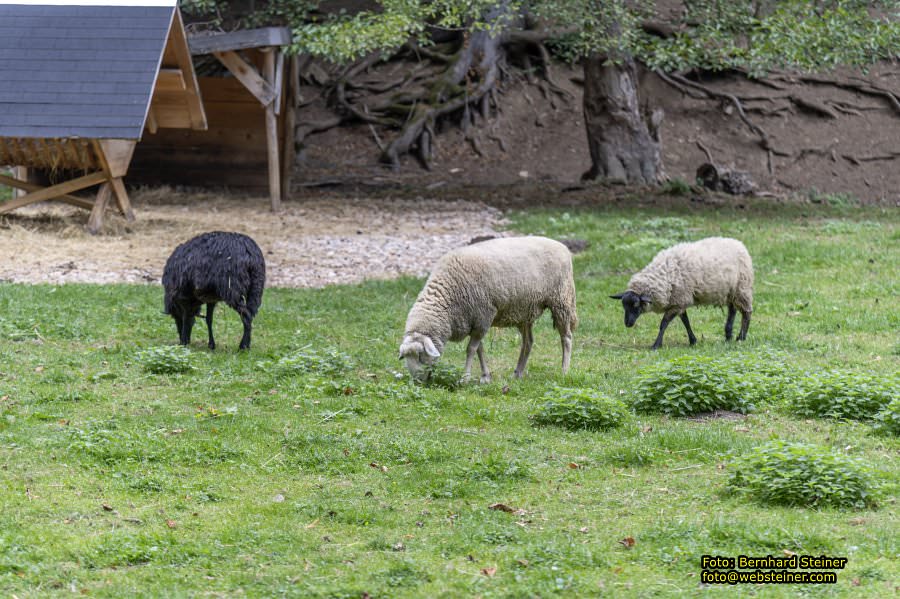 Naturpark Sparbach, September 2023