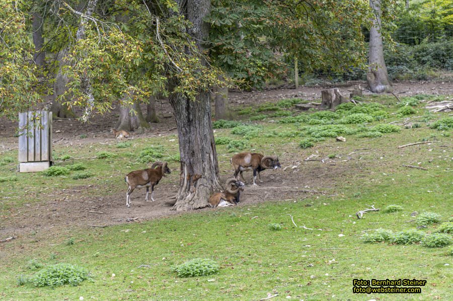 Naturpark Sparbach, September 2023