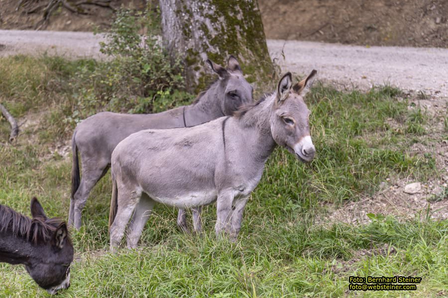 Naturpark Sparbach, September 2023