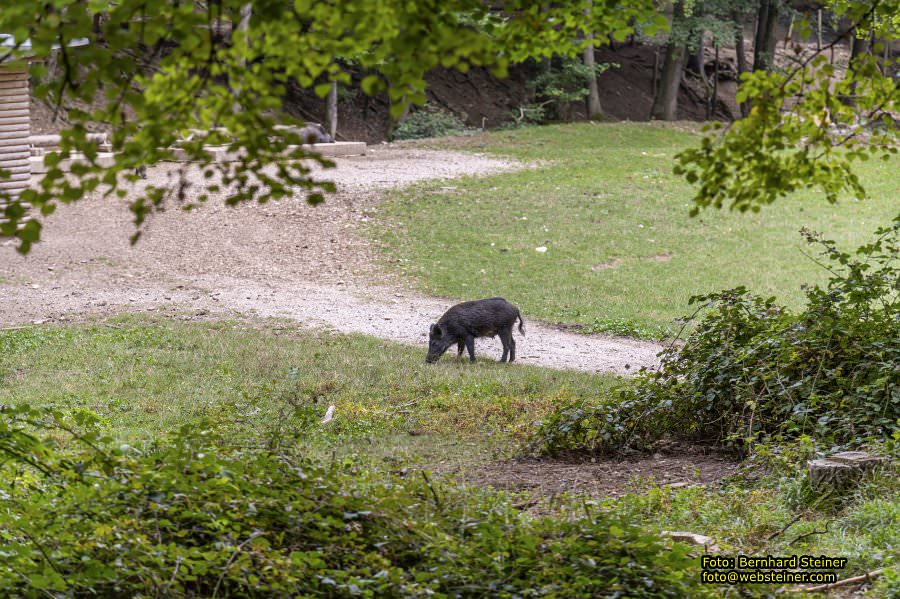 Naturpark Sparbach, September 2023