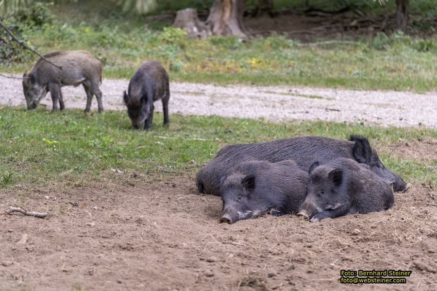 Naturpark Sparbach, September 2023