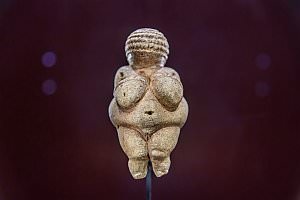 Projekt: Naturhistorisches Museum Wien - NHM, Februar  2023