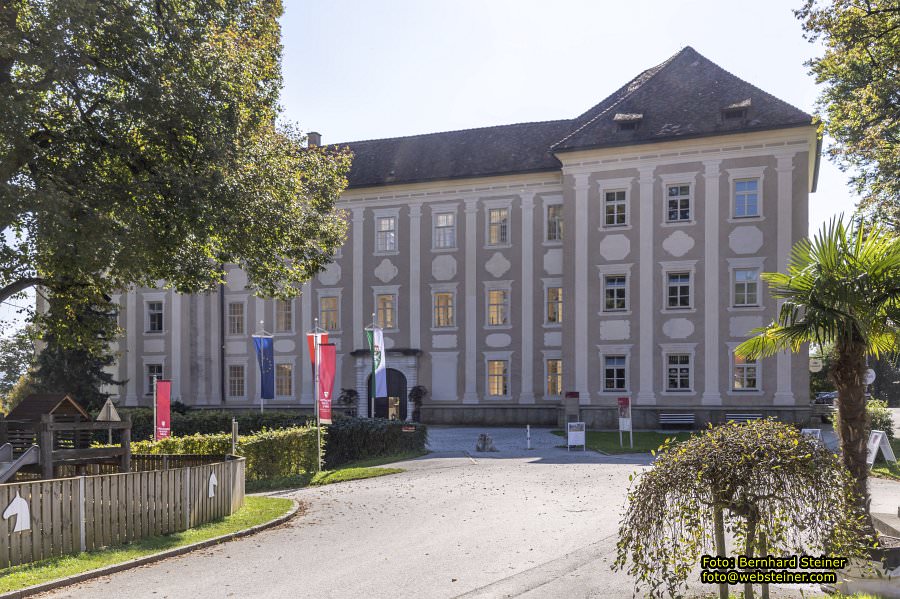 Lipizzanergest�t Piber bei K�flach, September 2023