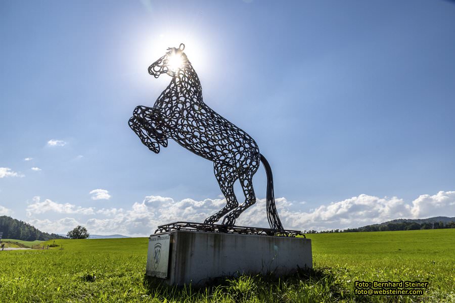 Lipizzanergest�t Piber bei K�flach, September 2023