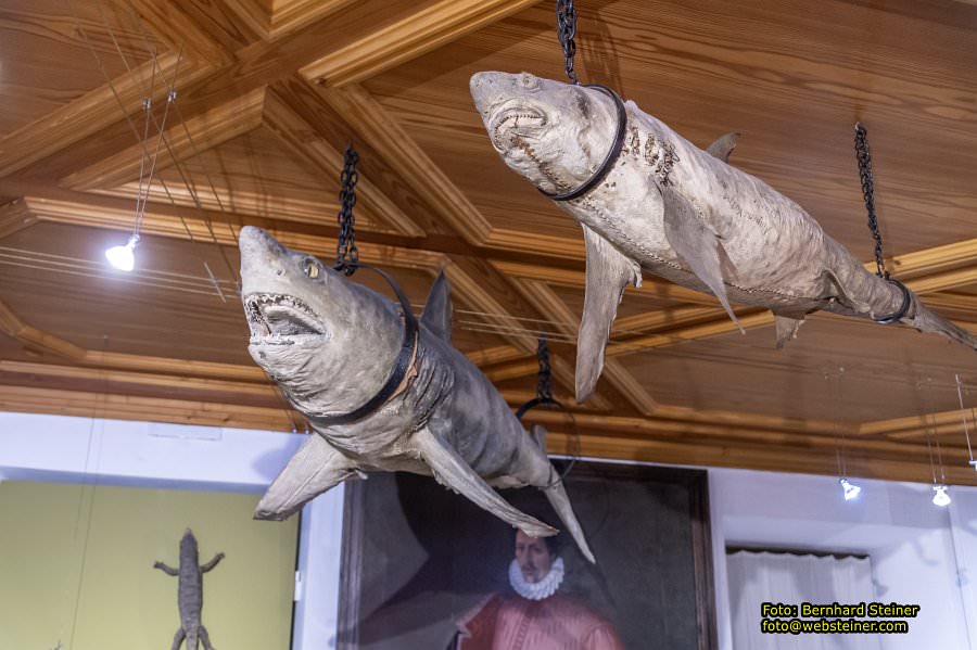 Schloss Ambras Innsbruck, Oktober 2024