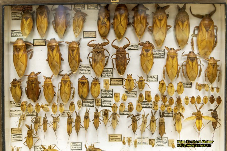 Stift Admont, April 2022