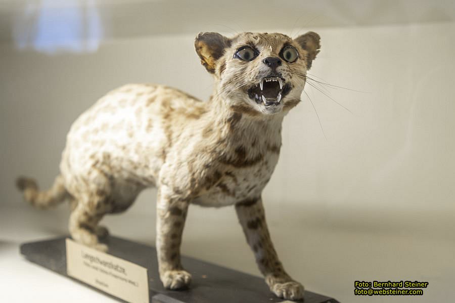 Stift Admont, April 2022