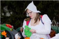 Zillingdorfer Faschingsumzug, 09.02.2016