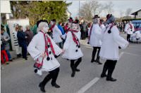 Zillingdorfer Faschingsumzug, 09.02.2016