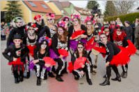 Zillingdorfer Faschingsumzug, 09.02.2016