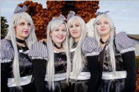 Zillingdorfer Faschingsumzug, 09.02.2016