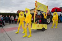 Zillingdorfer Faschingsumzug, 28.02.2017
