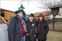 Zillingdorfer Faschingsumzug, 28.02.2017