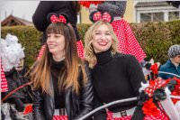 Zillingdorfer Faschingsumzug, 13.02.2018